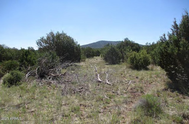 0 Espee Rd -, Unit Williams, AZ 86046