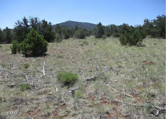 0 Espee Rd -, Unit Williams, AZ 86046