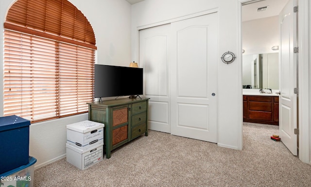 carpeted bedroom with sink and a closet