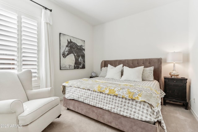 14204 S 179th Ln, Goodyear, AZ 85338 - carpeted bedroom with baseboards