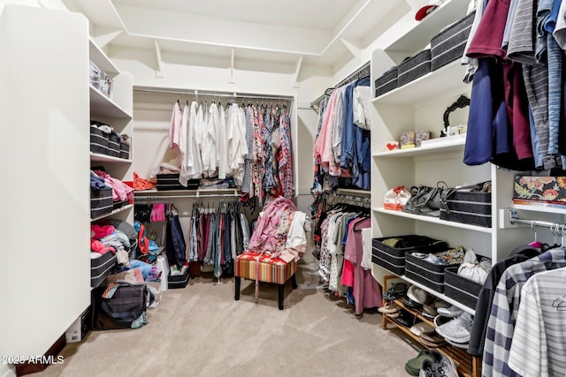 14204 S 179th Ln, Goodyear, AZ 85338 - spacious closet with carpet