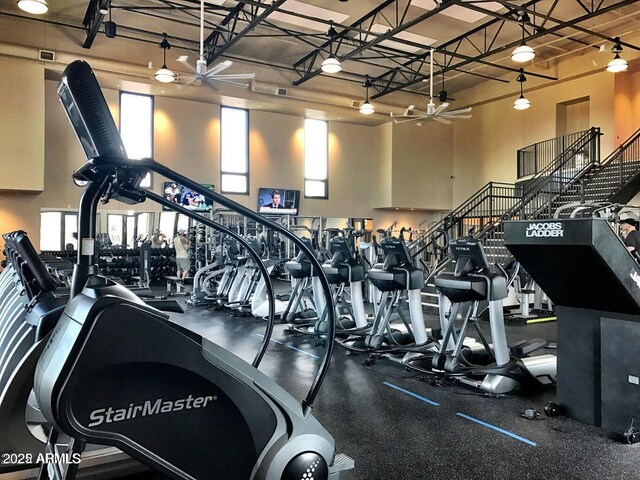 14204 S 179th Ln, Goodyear, AZ 85338 - exercise room featuring a high ceiling