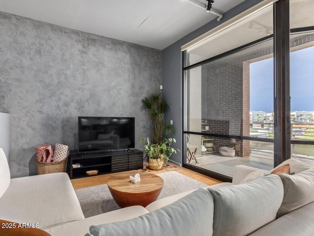 living room featuring track lighting, a wealth of natural light, and hardwood / wood-style flooring