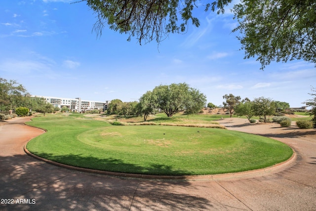 view of property's community featuring a yard