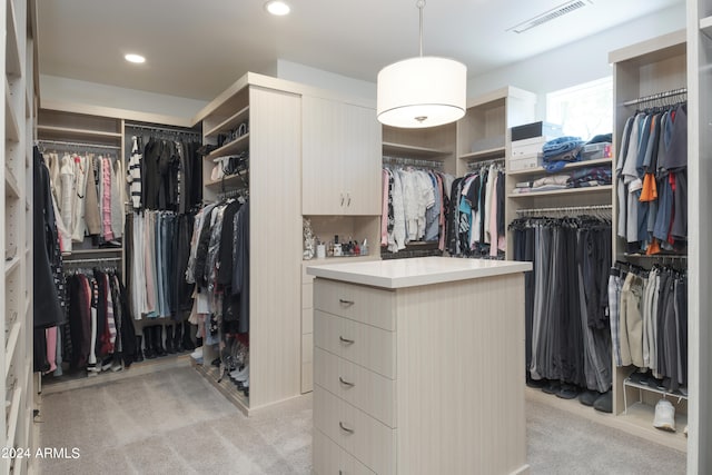 spacious closet with light colored carpet