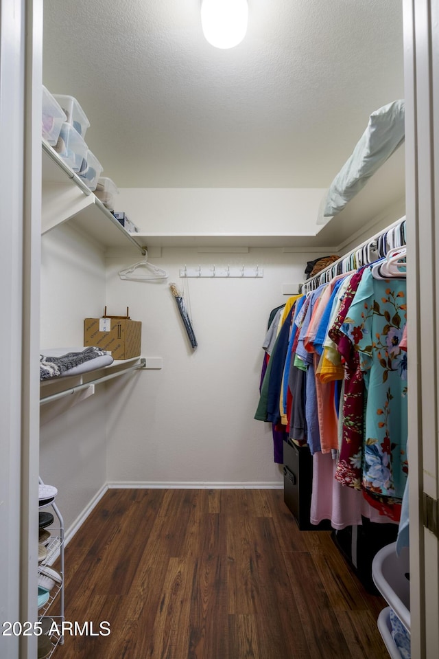 walk in closet with dark hardwood / wood-style flooring