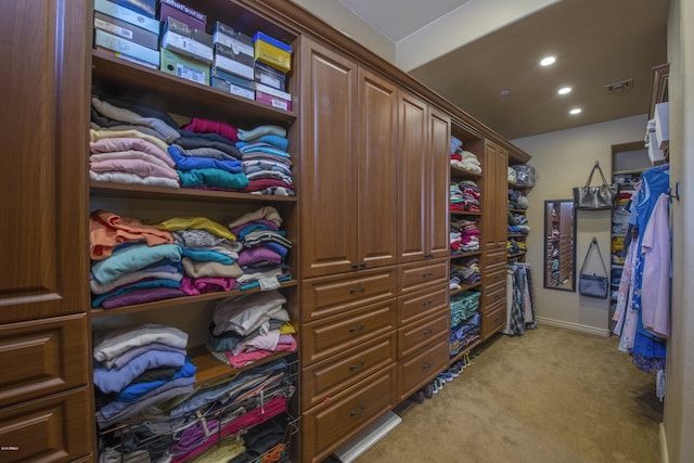 spacious closet featuring light colored carpet