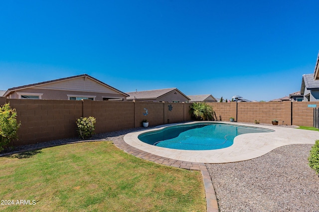 view of pool featuring a patio and a yard