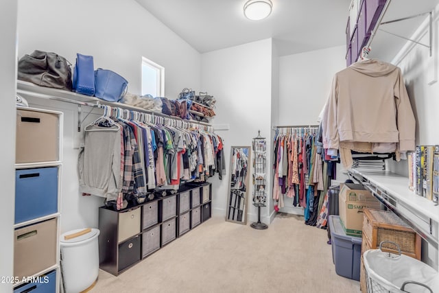 spacious closet featuring carpet