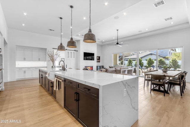 kitchen with a sink, visible vents, light wood-style floors, and a ceiling fan