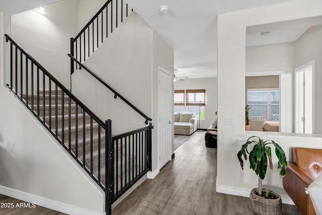 stairway featuring wood-type flooring and ceiling fan