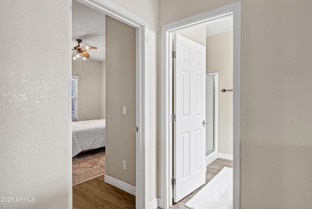 hall with hardwood / wood-style floors