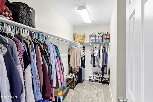 walk in closet with light carpet