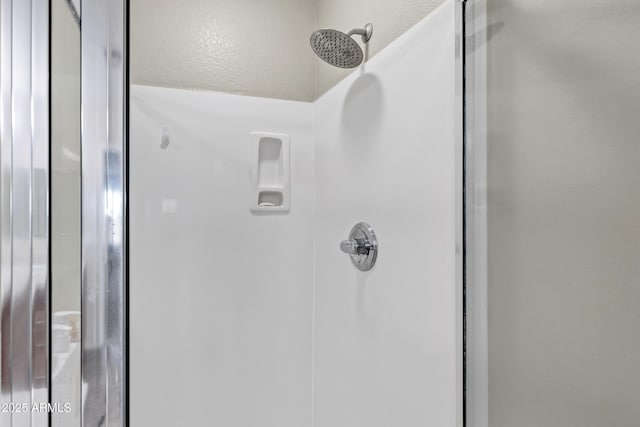 interior details featuring walk in shower