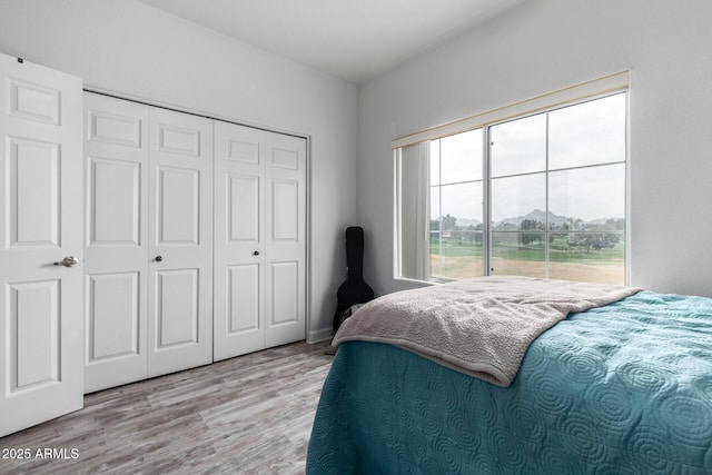 bedroom with a closet and light hardwood / wood-style flooring