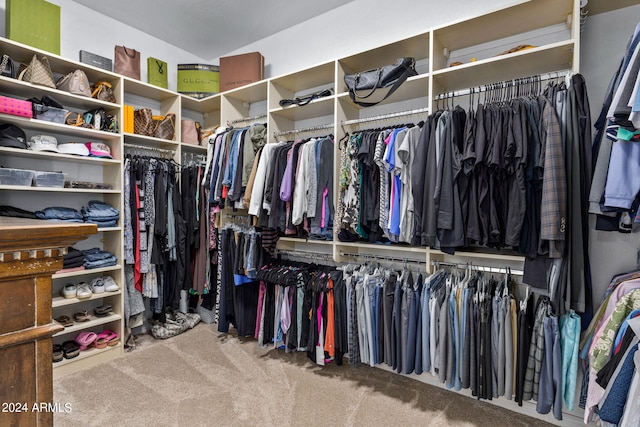 walk in closet with carpet