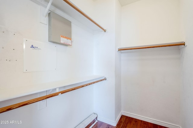 spacious closet with hardwood / wood-style flooring