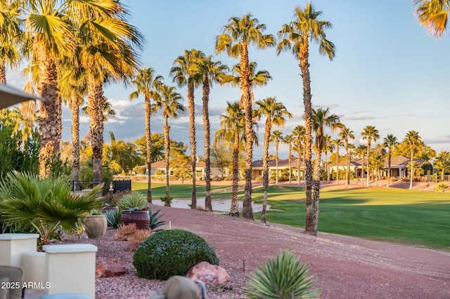 surrounding community featuring a lawn