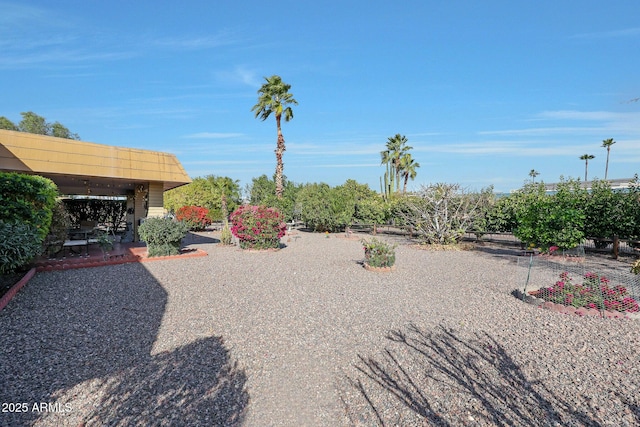 view of yard with a patio area