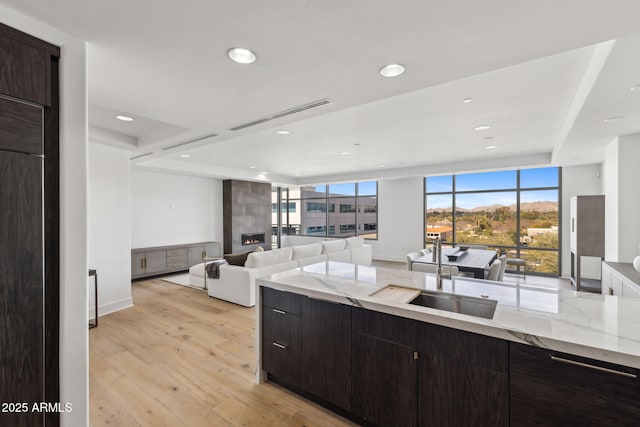 kitchen featuring light wood finished floors, a fireplace, a sink, and visible vents