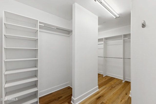 spacious closet featuring wood finished floors