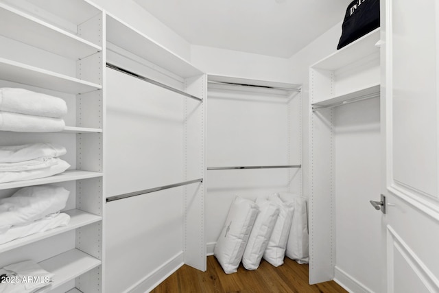 walk in closet featuring wood finished floors