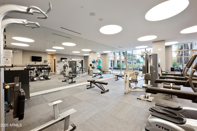 workout area with a wall of windows