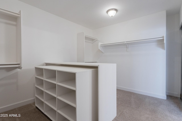 spacious closet featuring carpet floors