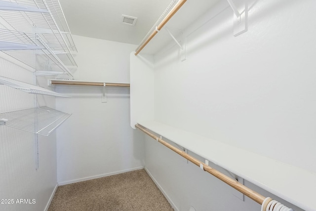 walk in closet featuring carpet floors