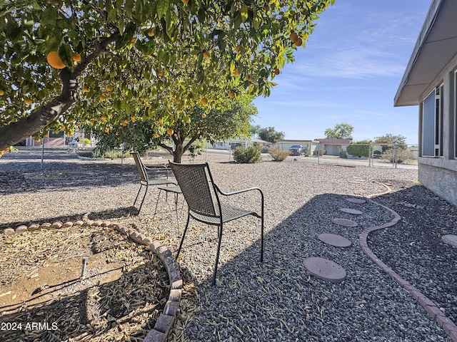 view of yard with a patio