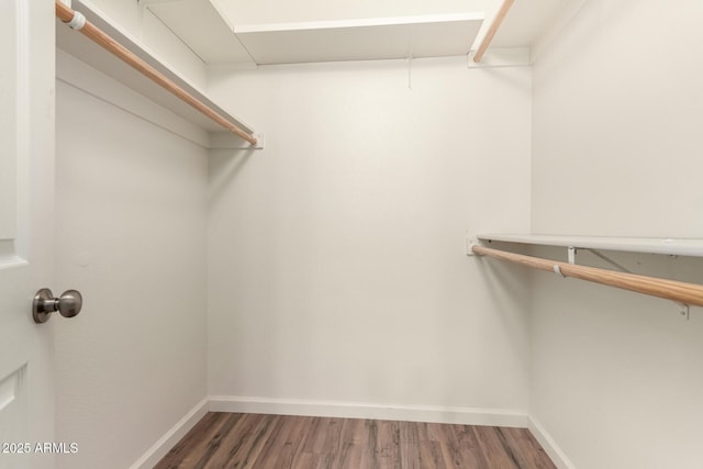 spacious closet with wood finished floors