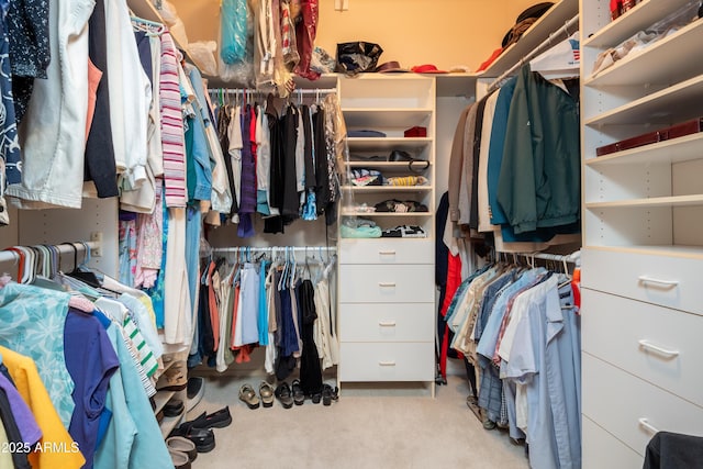 spacious closet featuring light carpet