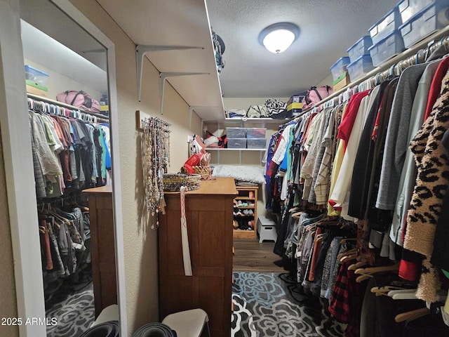 view of walk in closet