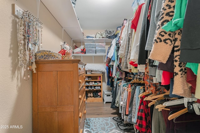 spacious closet with hardwood / wood-style floors