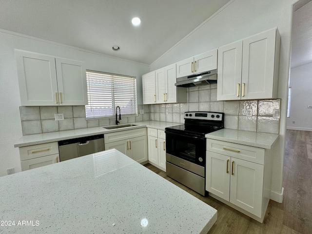 kitchen featuring lofted ceiling, appliances with stainless steel finishes, dark wood-type flooring, a sink, and under cabinet range hood