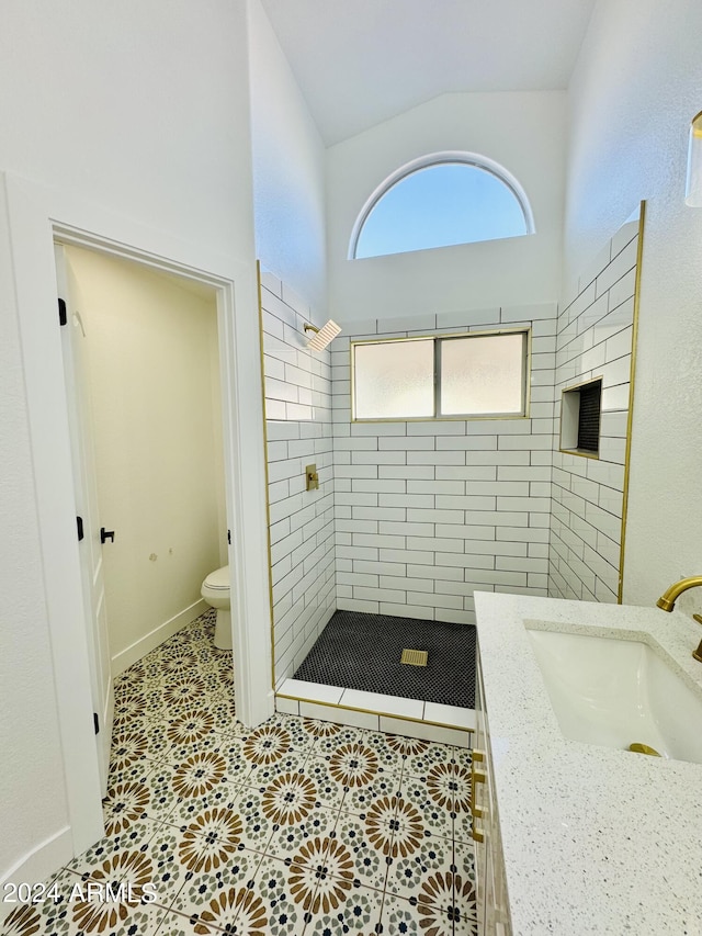 5984 W Geronimo Ct, Chandler, AZ 85226 - full bathroom featuring tile patterned flooring, lofted ceiling, toilet, a shower stall, and a sink