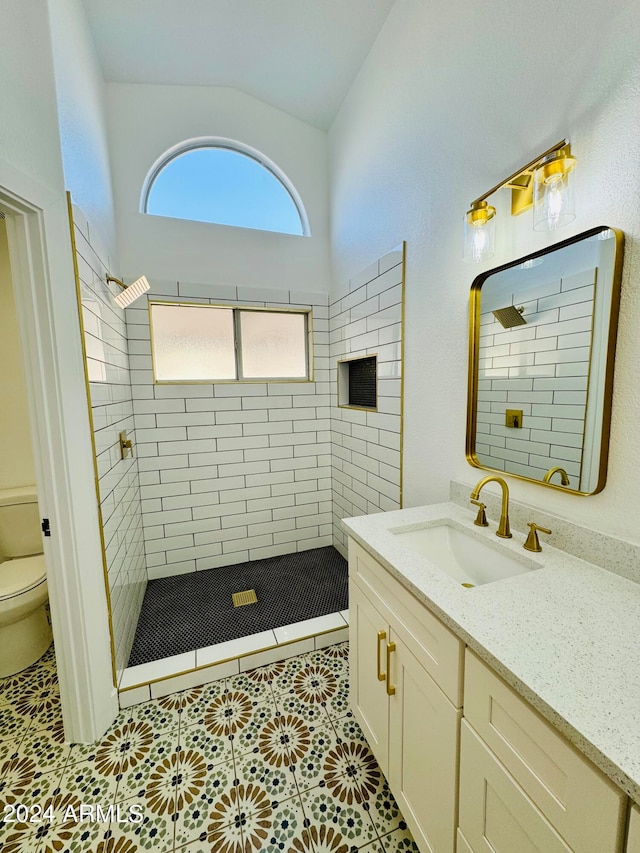 full bathroom featuring vaulted ceiling, vanity, a shower stall, and toilet