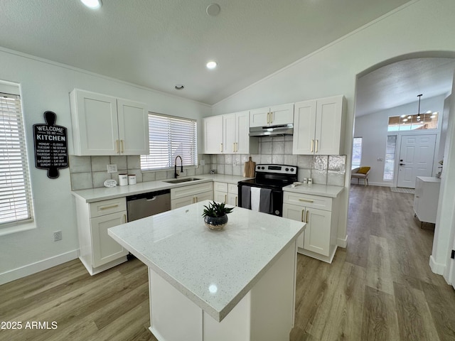 5984 W Geronimo Ct, Chandler, AZ 85226 - kitchen featuring stainless steel appliances, arched walkways, under cabinet range hood, lofted ceiling, and a sink