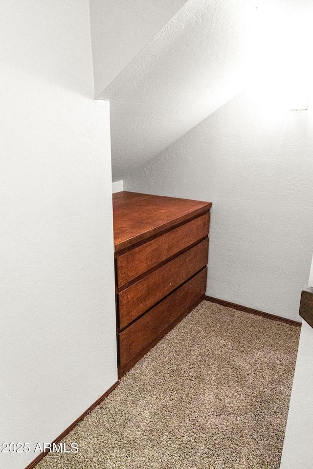 2452 Daisy Trl, Forest Lakes, AZ 85931 - additional living space featuring carpet floors
