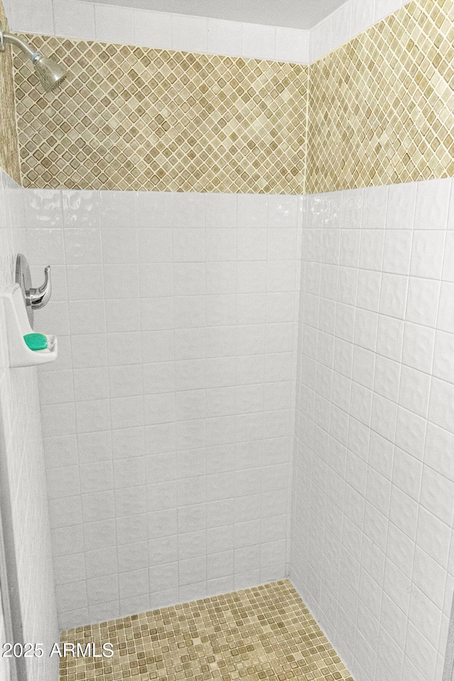 2452 Daisy Trl, Forest Lakes, AZ 85931 - full bathroom with tiled shower