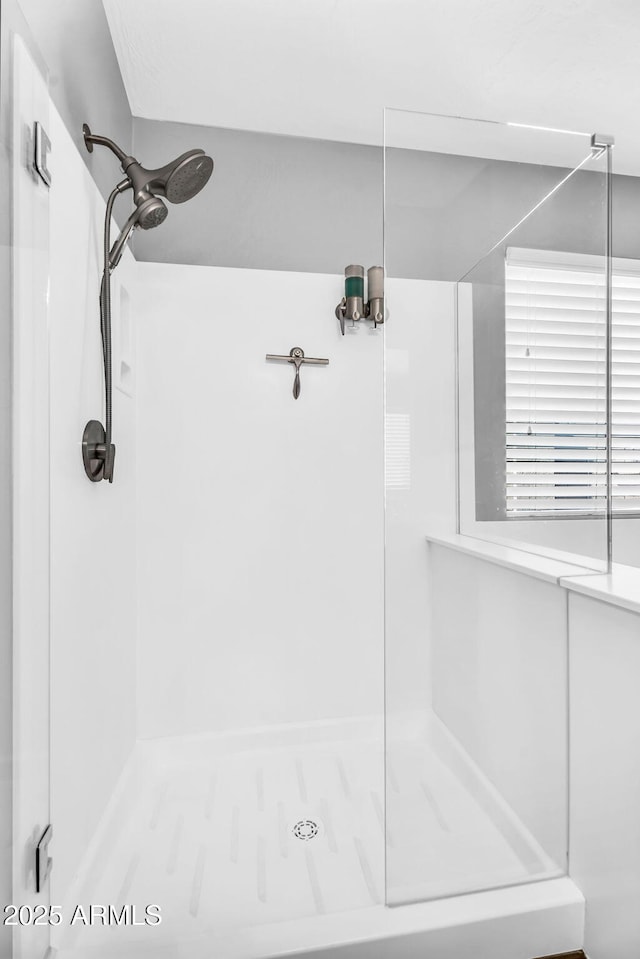32881 N Hidden Canyon Dr, San Tan Valley, AZ 85144 - full bath with a walk in shower