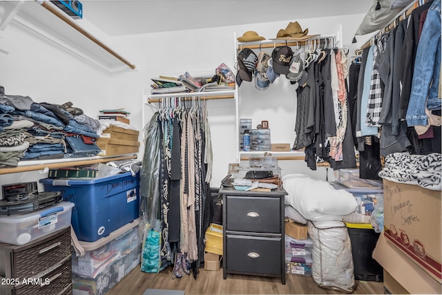 32881 N Hidden Canyon Dr, San Tan Valley, AZ 85144 - spacious closet featuring wood finished floors