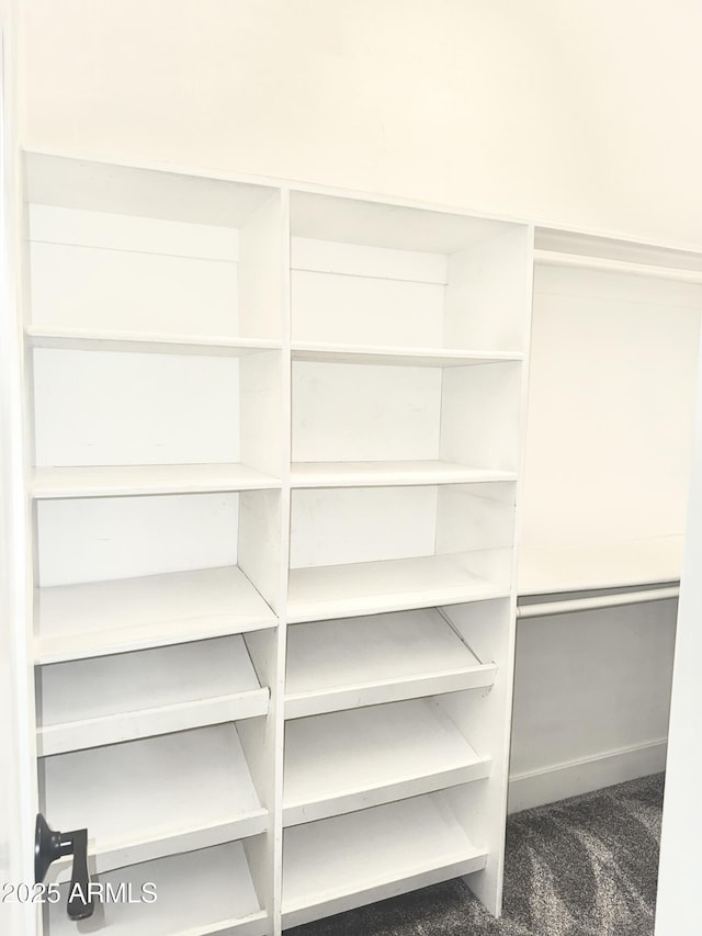 3614 W Granada Rd, Phoenix, AZ 85009 - spacious closet with carpet