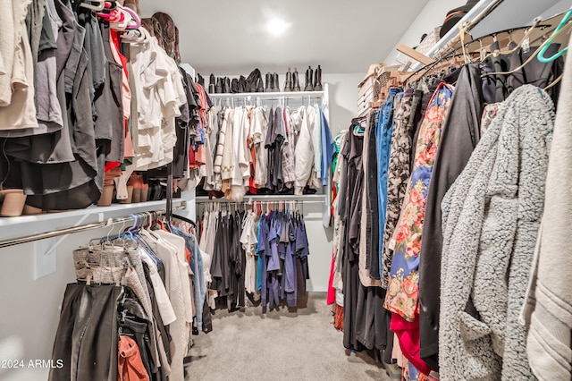 spacious closet with light carpet