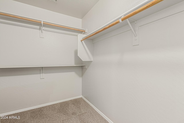 walk in closet with carpet floors