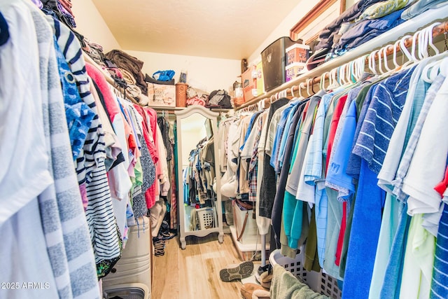 walk in closet featuring wood finished floors