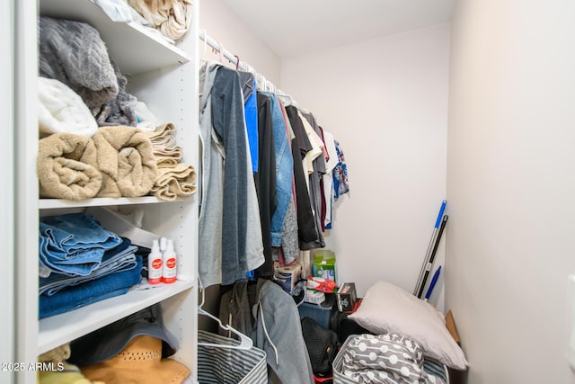 view of walk in closet