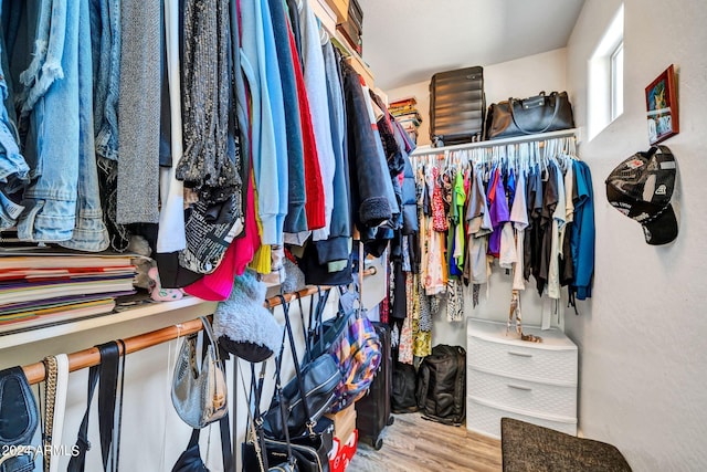 spacious closet with hardwood / wood-style flooring