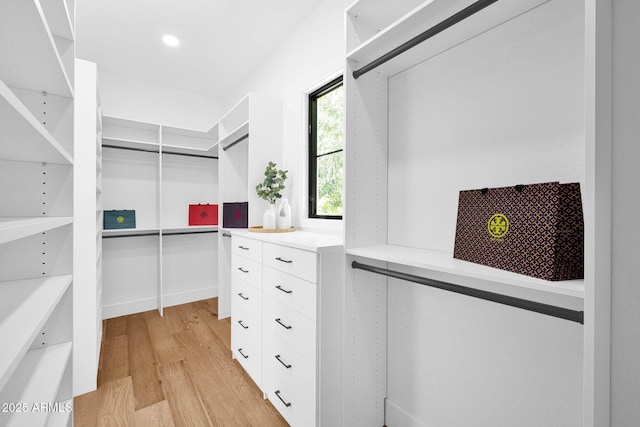 spacious closet with light wood-type flooring