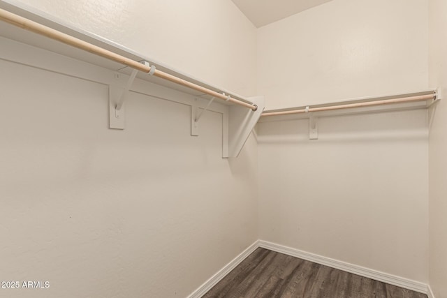 18008 W Tina Ln, Surprise, AZ 85387 - spacious closet with dark wood-style flooring